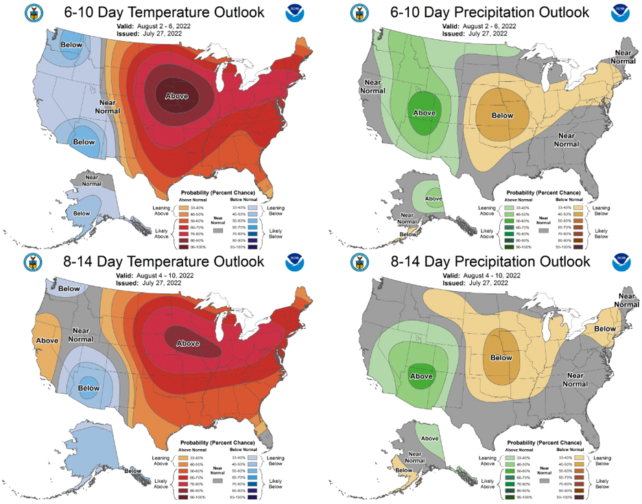 The 6-10 day (Aug. 2-6, top) and 8-14 day (Aug. 4-10, bottom) outlooks for temperature (left) and precipitation (right).